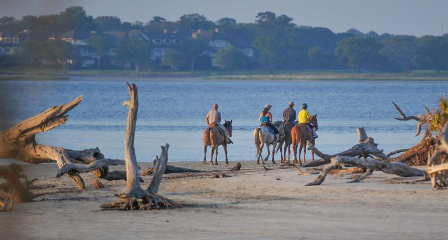 Horseback riding on Driftwood Beach, Jekyll Island