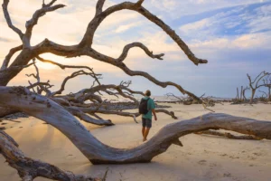 A person with a backpack walks barefoot on a sandy beach among large, weathered driftwood trees under a partly cloudy sky at sunset. - Villas by the Sea Resort, Jekyll Island